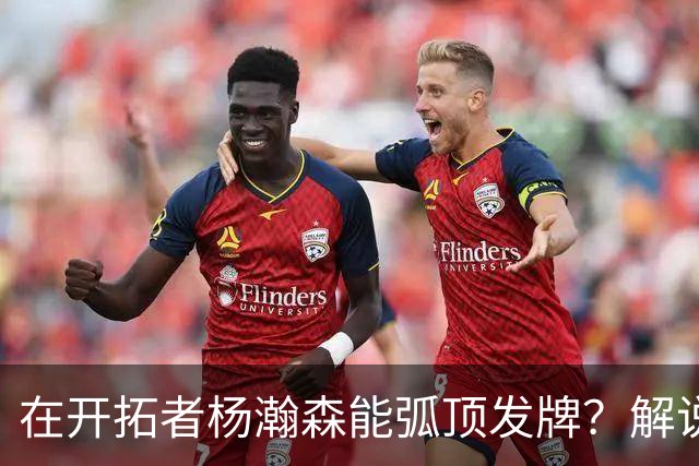 在开拓者杨瀚森能弧顶发牌？解说：克林根都没这待遇 我不太看好